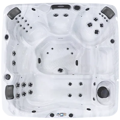 Avalon EC-840L hot tubs for sale in Jarvisburg