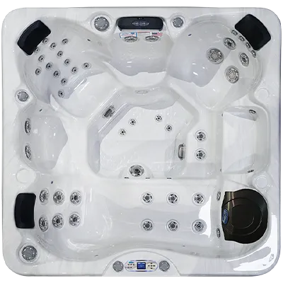 Avalon EC-849L hot tubs for sale in Jarvisburg