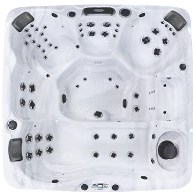 Avalon EC-867L hot tubs for sale in Jarvisburg